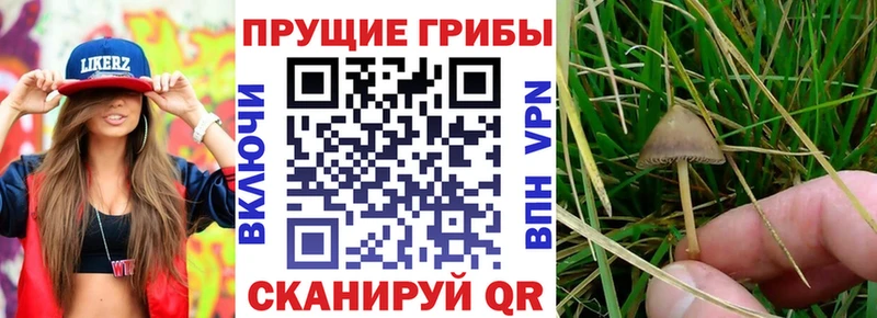 Галлюциногенные грибы мухоморы  Усть-Илимск 
