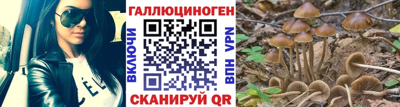 Псилоцибиновые грибы Psilocybe Усть-Илимск